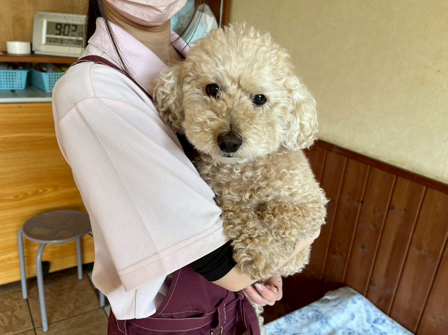 久しぶりのノエルちゃん