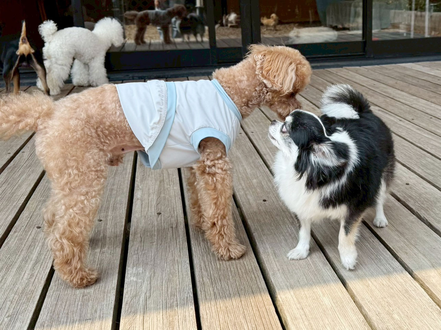 COCOくんと健太くん