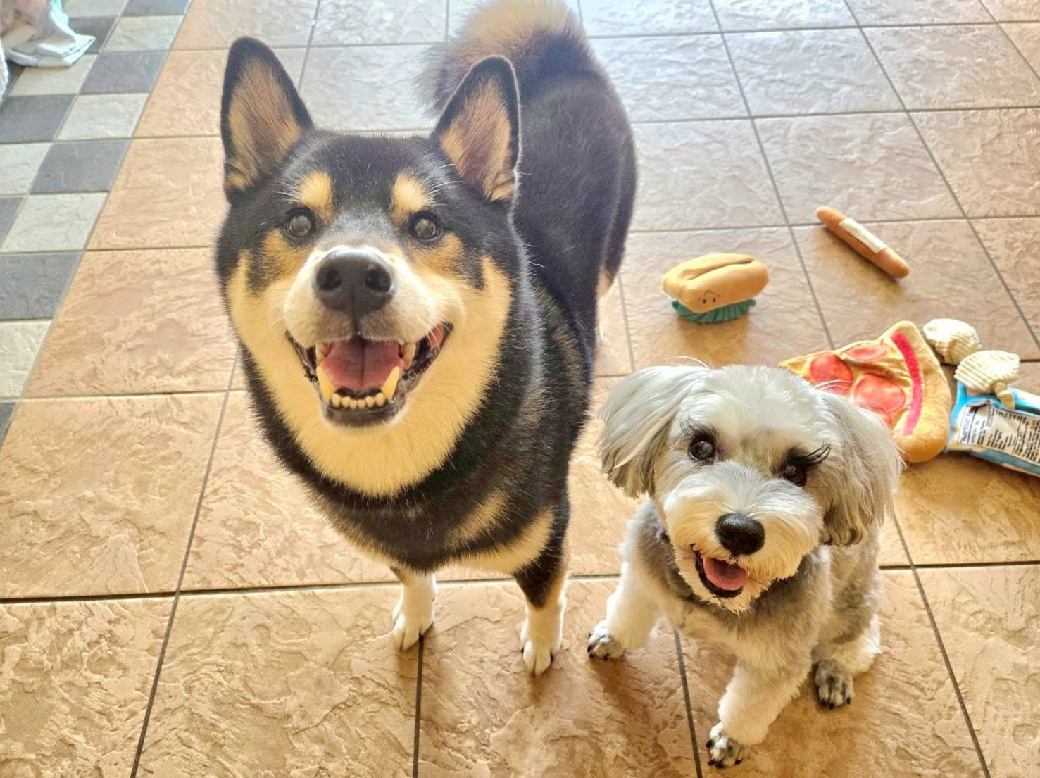 RIOくんとNOAちゃん