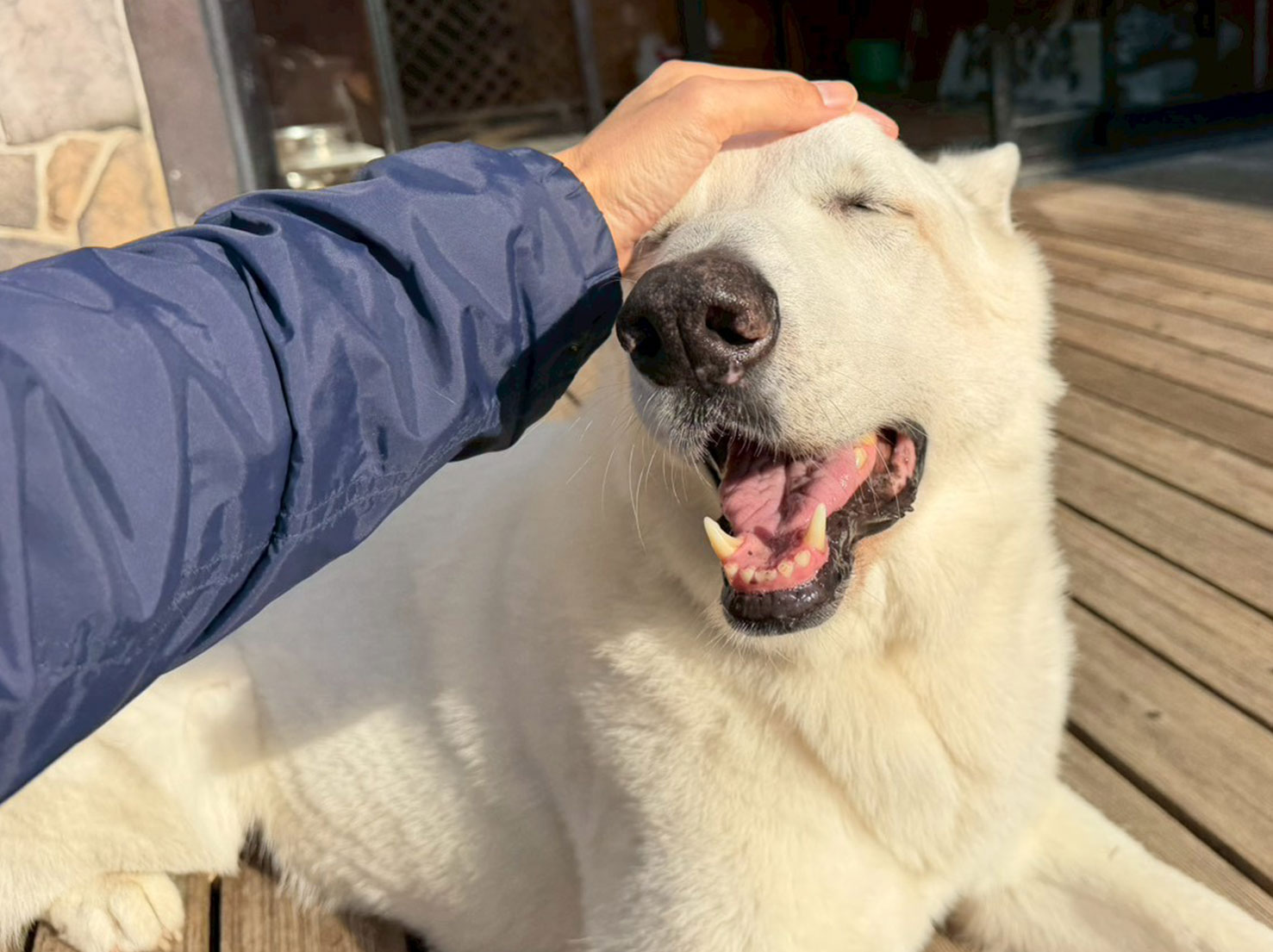 幸せそうなクラビーくん