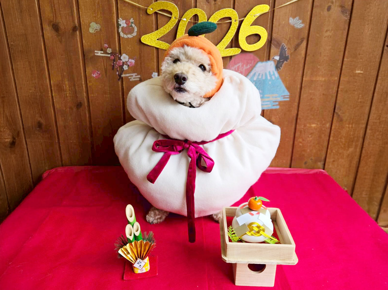 ノエルちゃんから新年のご挨拶です