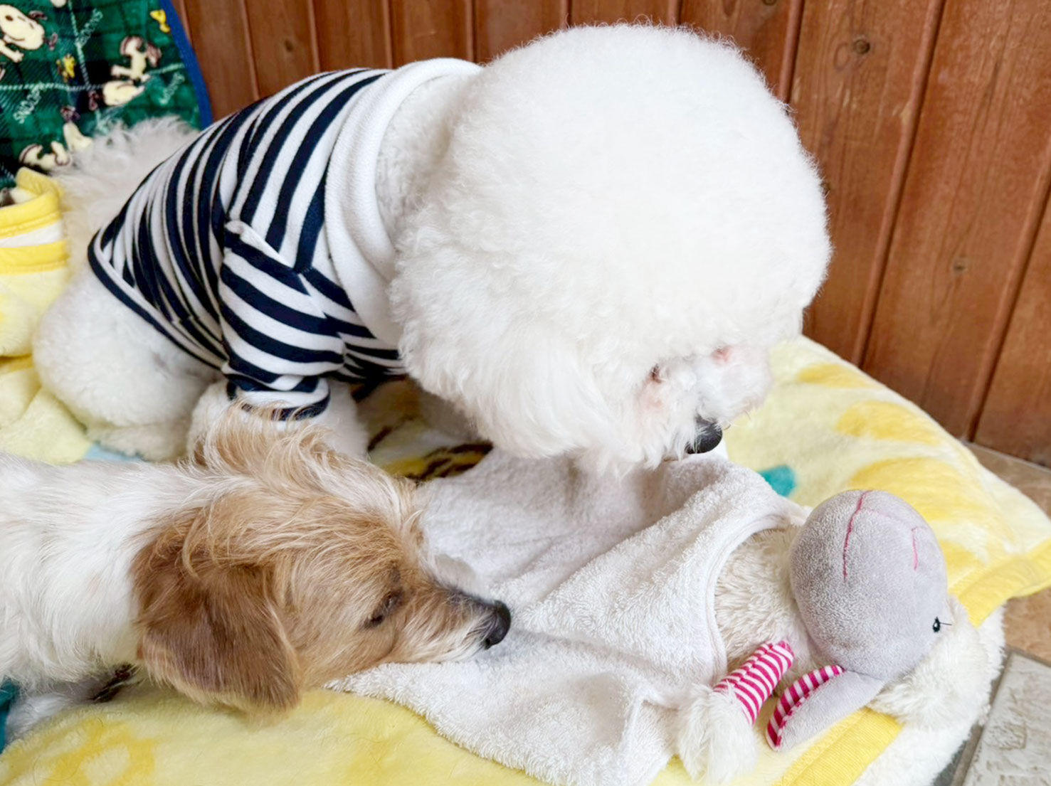 テオくんとリアンくん