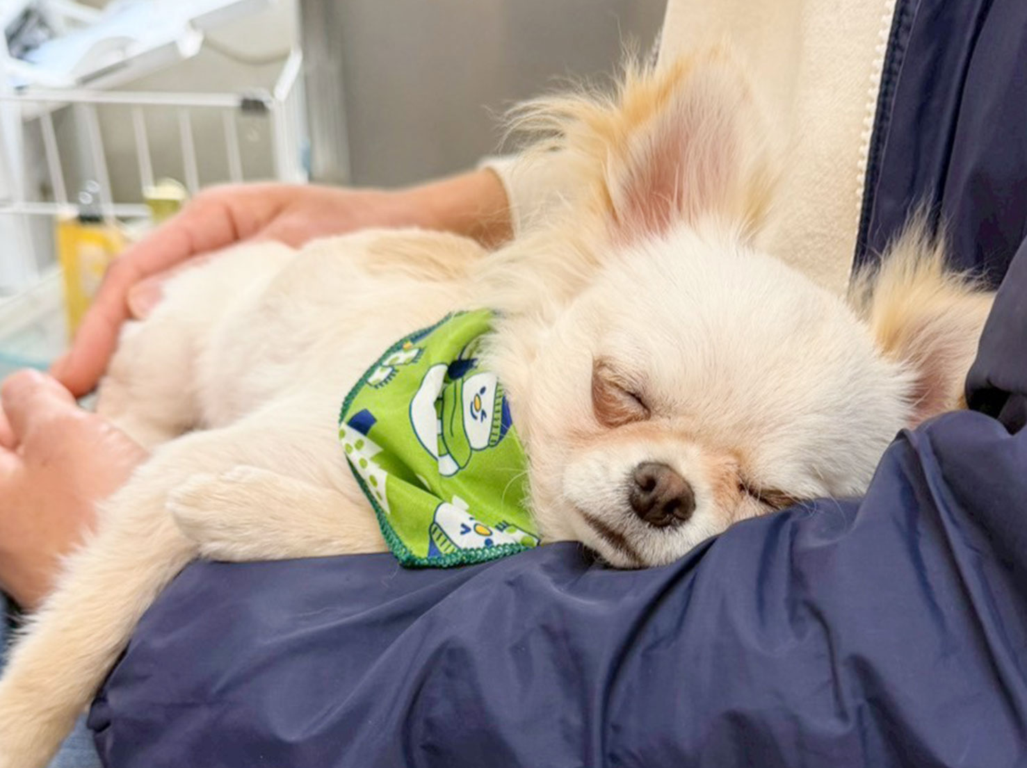 初めましてのレオくん